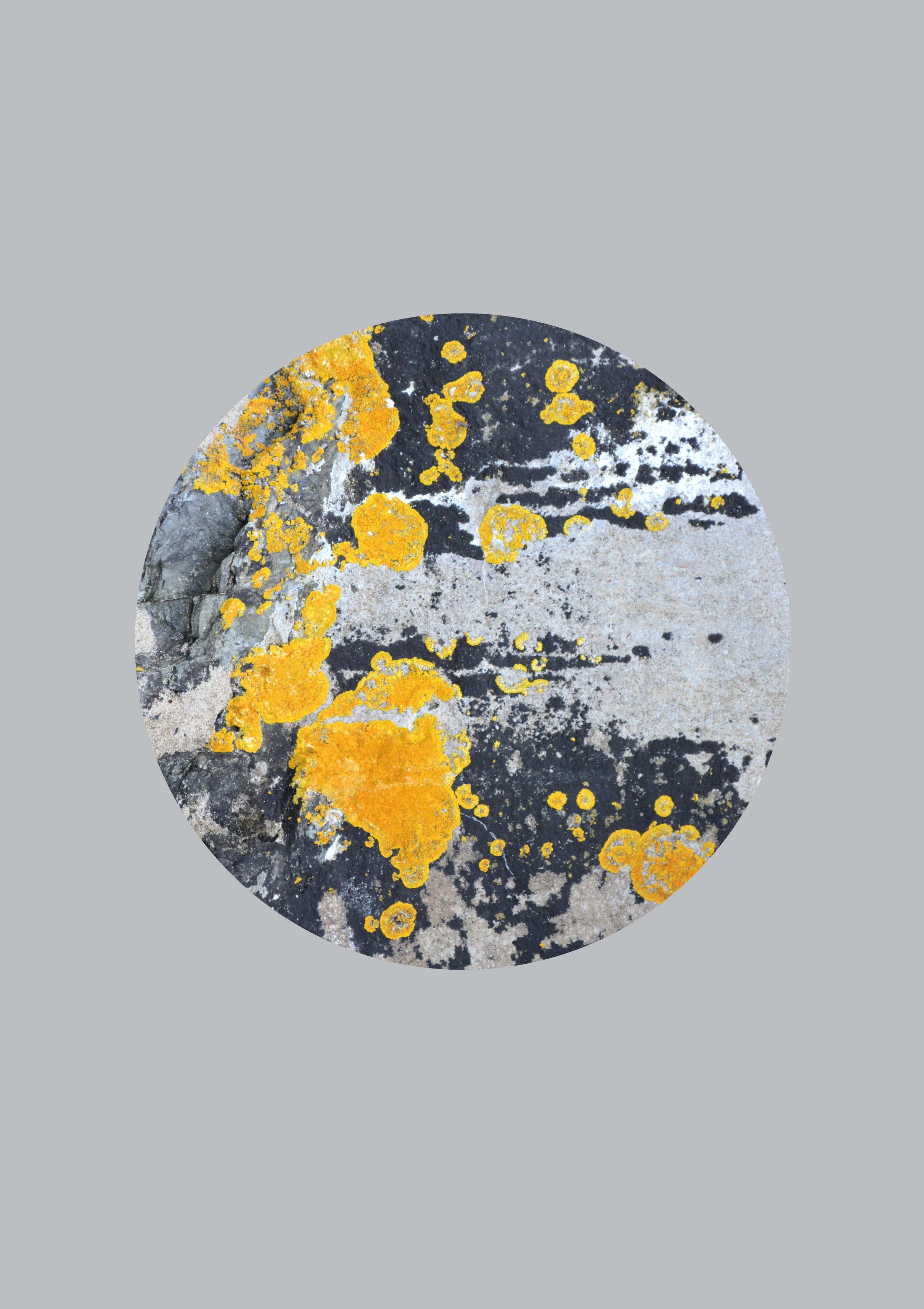 Soft Grey and Yellow Ochre abstract wall art print - 'Nomad Splash Eclipse'